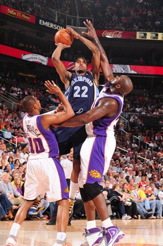 展现出极高 展现出极高